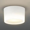 LEDG85005
