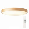 moment ceiling lamp