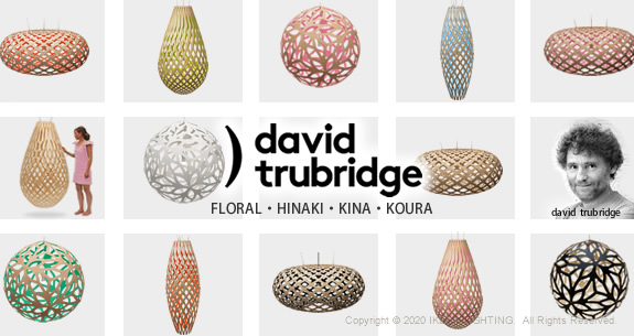 ǥӥåɡȥ֥åDAVID TRUBRIDGEå