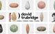 ǥӥåɡȥ֥åDAVID TRUBRIDGEå