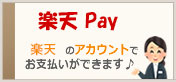 ŷ Payåå쥹5%Ը