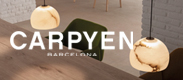 carpyen�å���ԥ���