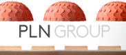 PLN Group��PLN���롼��